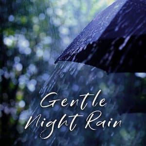 Gentle Night Rain - Relaxing Night Music Academy