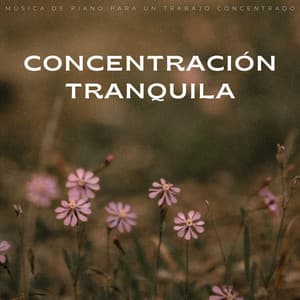 Concentración Tranquila: Música De Piano Para Un Trabajo Concentrado - Maestras de piano relajantes
