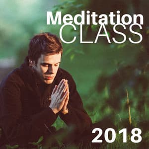 Meditation Class 2018 - Instrumental New Age Sounds, Peace and Relaxation - Zen Meditation Orchestra