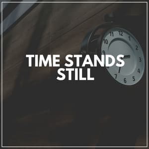 Time Stands Still - The Solfeggio Peace Orchestra