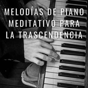 Quietud Armónica: Melodías De Piano Meditativo Para La Trascendencia - El piano amistoso