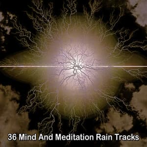 36 Mind And Meditation Rain Tracks - Musica para Dormir 101