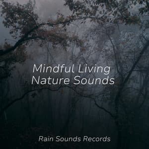 Mindful Living Nature Sounds - Rain Sound Studio