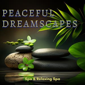 Peaceful Dreamscapes: Soft Kalimba Reflections - Spa & Relaxing Spa