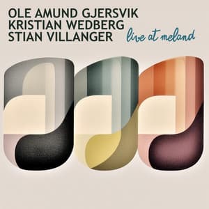 Live At Meland - Ole Amund Gjersvik