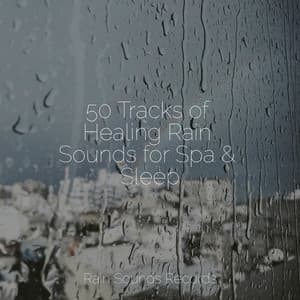 50 Tracks of Healing Rain Sounds for Spa & Sleep - Nature Sound Collection