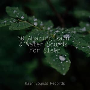 50 Amazing Rain & Water Sounds for Sleep - Musica de Relajación Academy