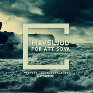 Havsljud för att sova: Vackert hav, Avkopplande havsmusik, Akustiska havsljud för lugn läggdags, Tvärs över ett hav av drömmar, Naturen låter för att sova, Huvudutrymme guide för att sova - Avslappning ljud klubb