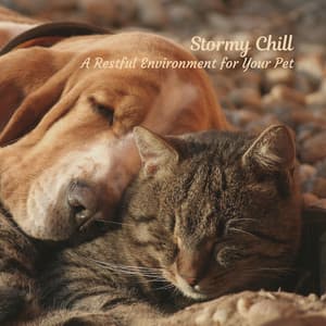 Stormy Chill: A Restful Environment for Your Pet - Deep Sleep Rain & Thunder