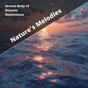 Serene Body of Oceanic Restfulness - Nature's Melodies