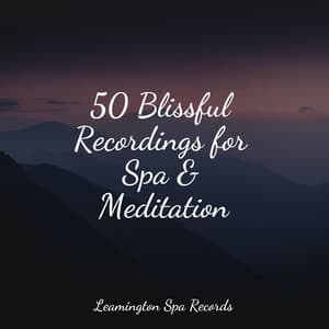 50 Blissful Recordings for Spa & Meditation - Rainforest