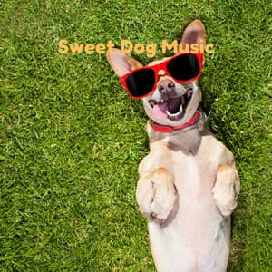 Sweet Dog Music - Pet Music Therapy
