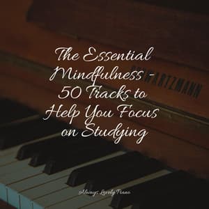 The Essential Mindfulness - 50 Tracks to Help You Focus on Studying - Easy Listening Piano