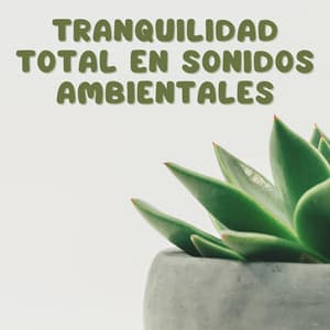 Tranquilidad Total En Sonidos Ambientales - Piano Suave Relajante