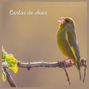 Cantos de Aves - Sonidos De Pajaros