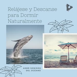 Relájese y Descanse para Dormir Naturalmente - ASMR Sonidos del Océano