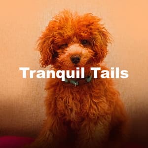 Tranquil Tails - Music for Pets Library