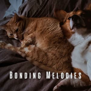 Bonding Melodies: Chill Music for Pet Lovers - Reiki for Animals