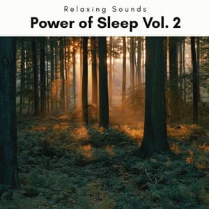 2022 Power of Sleep Vol. 2 - Sleep Tech