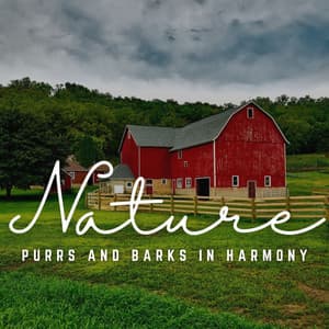 Purrs and Barks in Harmony: Sound Waves - Pet Music World