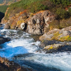 Stream River Sparkling Bubble Sounds Vol. 1 - Rivers and Streams