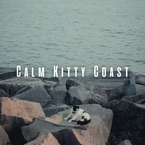 Calm Kitty Coast: Soothing Ocean and Chill Sounds for Serene Cats - Ocean Waves Radiance