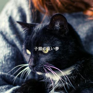 子猫の良い夢 - Ristorante Jazz Playlist