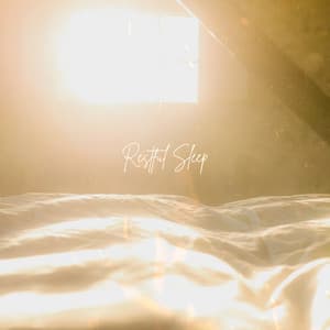 Restful Sleep - Zen Gaya