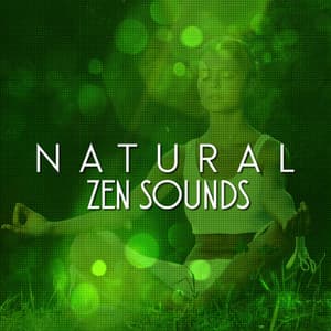 Natural Zen Sounds - Ambient Nature Sounds