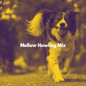 Mellow Howling Mix - Musica para Perros