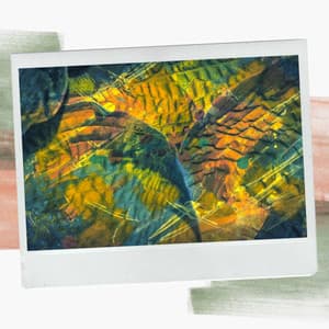 Bgm for Spring Rest - New York Cafe Playlist