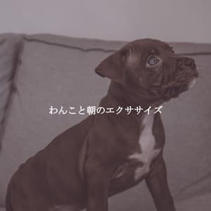 わんこと朝のエクササイズ - Happy Cooking Music