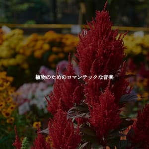 植物のためのロマンチックな音楽 - Night Club Jazz Deluxe