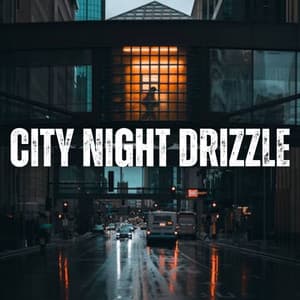 City Night Drizzle - Recorder Rain