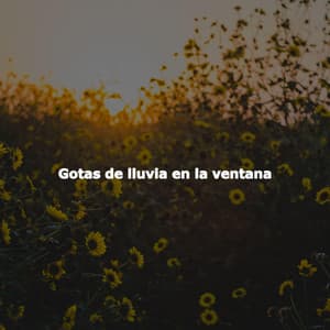 Gotas de lluvia en la ventana - Coffee Table Jazz Romance