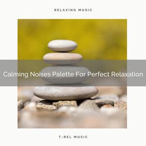 Calming Noises Palette For Perfect Relaxation - Pure Deep Sleep White Noise