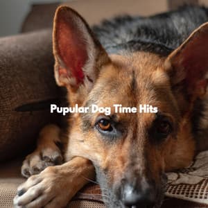 Pupular Dog Time Hits - Relaxing Dog Music Beats