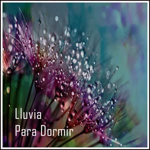 Lluvia para Dormir - Ruído Branco