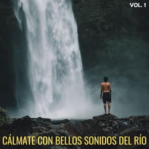 Cálmate Con Bellos Sonidos Del Río Vol. 1 - Agua Mantra