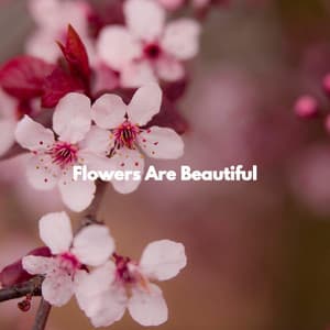 Flowers Are Beautiful - Beach Jazz Playlist