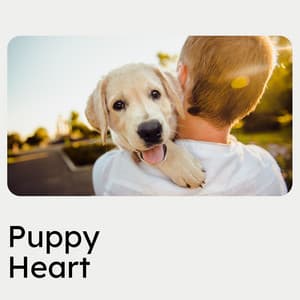 Puppy Heart - Puppy Music