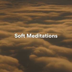 Soft Meditations - Musique Relaxante 101