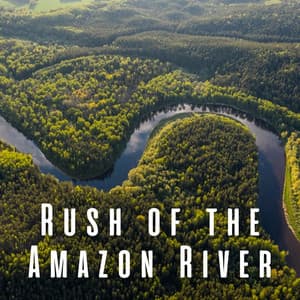 Rush of the Amazon River - Soothing Music for Sleep