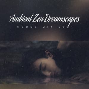 Ambient Zen Dreamscapes - Masajes Spas