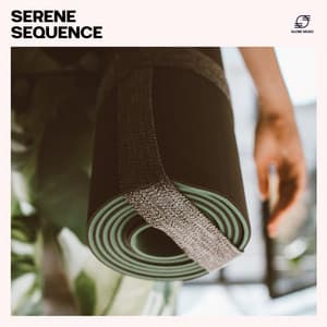 Serene Sequence: Relaxing Yoga Music - Yoga Music Collective
