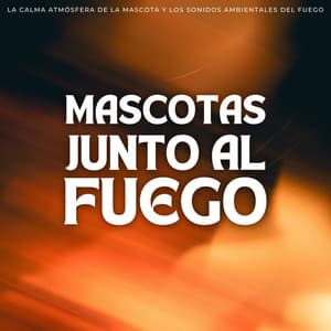 Mascotas Junto Al Fuego: La Calma Atmósfera De La Mascota Y Los Sonidos Ambientales Del Fuego - Música Instrumental Maestro