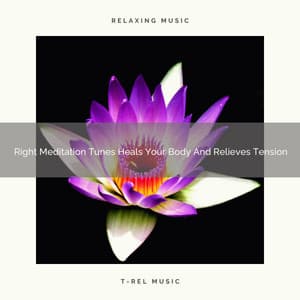 Right Meditation Tunes Heals Your Body And Relieves Tension - Spa And Soft Relax