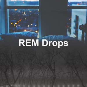 REM Drops - Rainy Dreaming