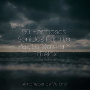 50 Hermosos Sonidos Para La Paz, La Calma Y El Relax - Sleep Baby Sleep
