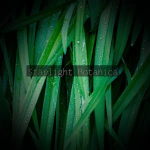 Starlight Botanica - Spiritloom